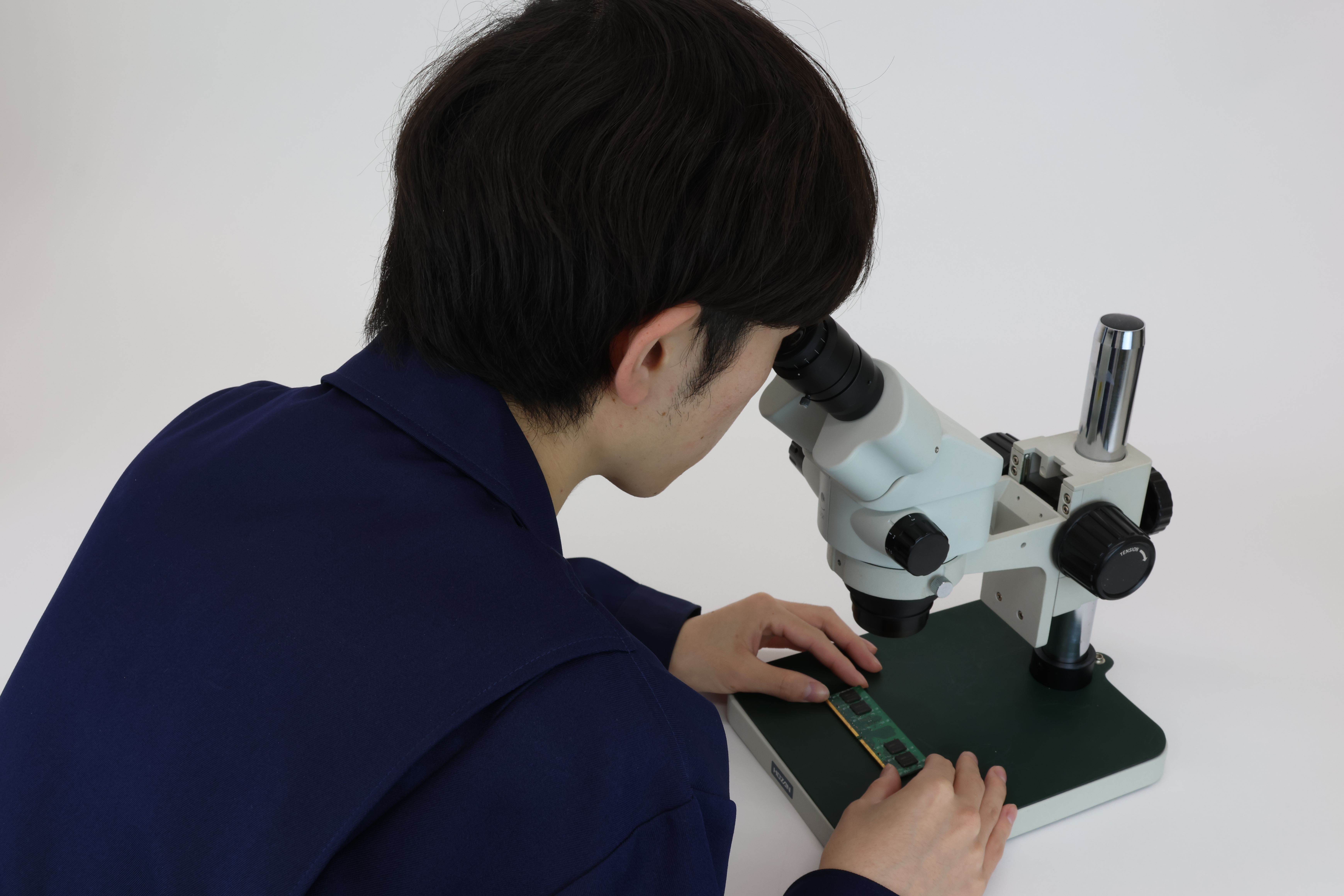 実体顕微鏡　観察